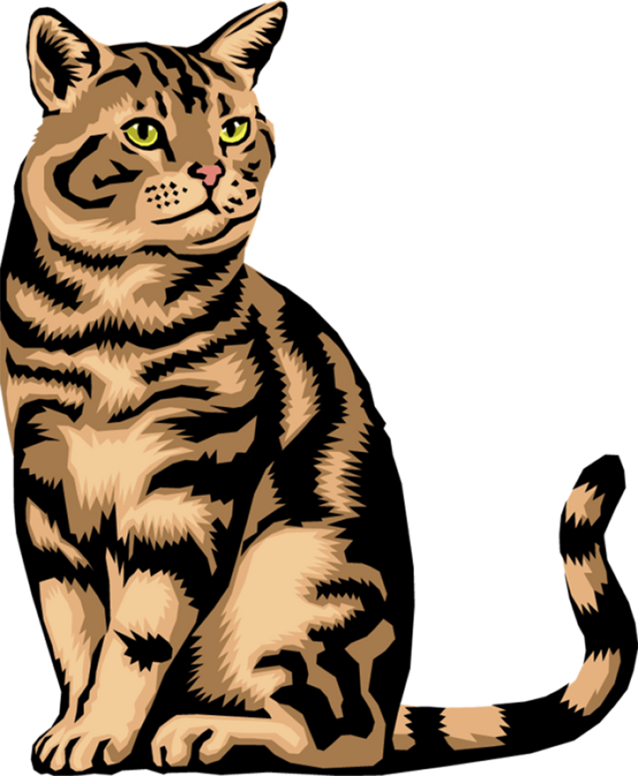 Tabby Cat Illustration